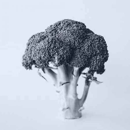 brocolli