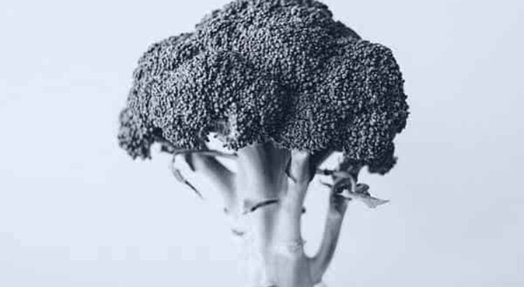 brocolli